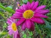 Enlarge photo 180