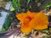 Enlarge photo 182