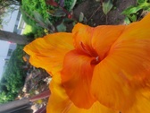 Enlarge photo 181
