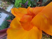 Enlarge photo 186