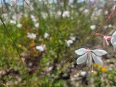 Enlarge photo 188