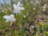 Enlarge photo 192