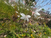 Enlarge photo 193