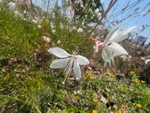 Enlarge photo 194