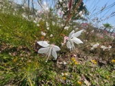 Enlarge photo 199