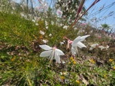 Enlarge photo 198