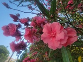 Enlarge photo 206