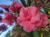 Enlarge photo 208