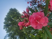 Enlarge photo 214