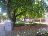 Enlarge photo 216