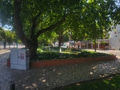 Enlarge photo 220