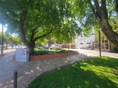 Enlarge photo 219