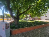 Enlarge photo 218