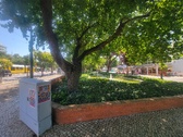 Enlarge photo 221