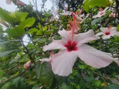 Enlarge photo 256