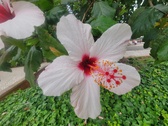 Enlarge photo 248