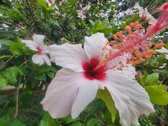 Enlarge photo 236