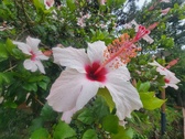 Enlarge photo 234