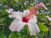 Enlarge photo 230