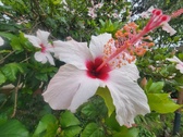 Enlarge photo 229