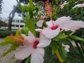 Enlarge photo 228