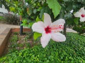 Enlarge photo 224