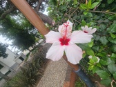 Enlarge photo 223