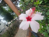 Enlarge photo 222