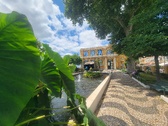 Enlarge photo 264