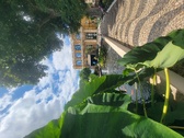 Enlarge photo 265