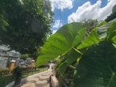 Enlarge photo 278
