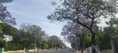 Enlarge photo 179