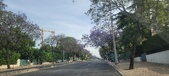 Enlarge photo 176