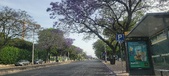 Enlarge photo 180