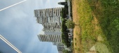 Enlarge photo 172