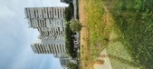 Enlarge photo 169