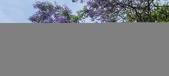 Enlarge photo 159