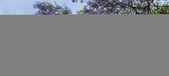 Enlarge photo 182