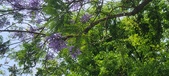 Enlarge photo 162