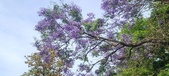 Enlarge photo 158