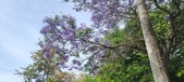 Enlarge photo 157