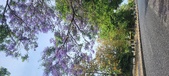 Enlarge photo 156