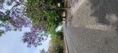 Enlarge photo 155