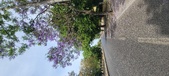 Enlarge photo 154