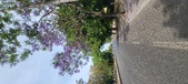 Enlarge photo 153