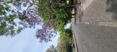 Enlarge photo 152