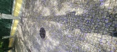 Enlarge photo 149