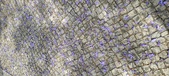 Enlarge photo 147