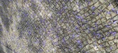 Enlarge photo 144