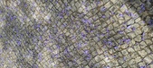 Enlarge photo 145